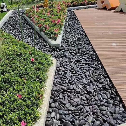 10lbs Black Pebbles for Plants, 2-3 Inch High Polished Natural Large River Rocks for Landscaping, Decorative Stones Vase Filler Fish Tank Aquariums Garden Outdoor and Indoor DIY