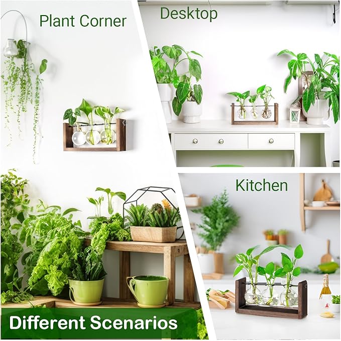 Propagation Station, Plants Terrarium, Plants Lover Gifts for Women,Plant Cutting Holder Home décor,Gifts for Women,House Warming New Home-3 Bulbs-Mounted