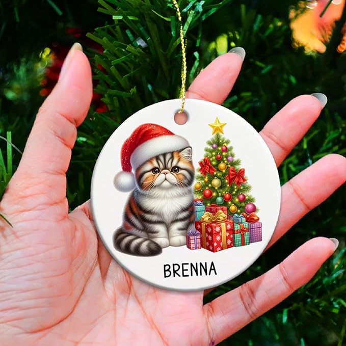 Personalized Exotic Shorthair Ceramic Ornaments, Exotic Shorthair Ornament with Custom Name, Cat Santa Hat Christmas Ornament 2025, Gift for Cat Lover Family Friend, Pet Christmas Tree Decor