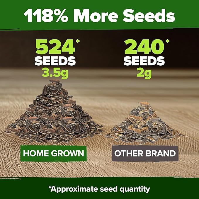 HOME GROWN 𝗨𝗦𝗔 𝗣𝗥𝗘𝗠𝗜𝗨𝗠 Zinnia Dahlia Seeds Pack for 2026 – 524 𝗡𝗢𝗡-𝗚𝗠𝗢 Flower Seeds | Vibrant Zinnia Elegans for Pollinator Gardens, Borders & Containers | Easy-to-Grow Outdoor Blooms