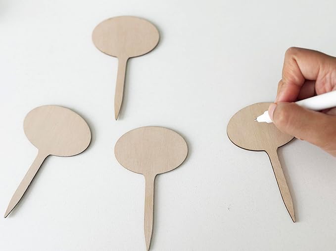 100 Pcs Wood Plant Labels, Natural Wooden Plant Marker Garden Sign Tags, Oval Type Garden Markers for Succulents, Herbs, Seedlings, Potted, Flowers, Vegetables (Oval)