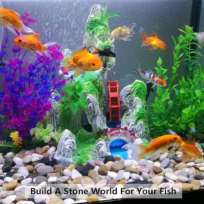 10lbs Black Pebbles for Plants, 1-2 Inch High Polished Natural River Rocks for Landscaping, Decorative Stones Vase Filler Fish Tank Aquariums Garden Outdoor and Indoor DIY