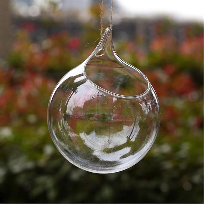 Propagation Station, Plants Terrarium, Plants Lover Gifts for Women,Plant Cutting Holder Home décor,Gifts for Women,House Warming New Home-3 Globe Shape