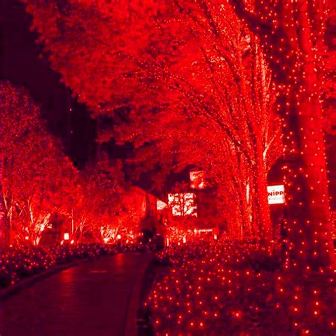 HISHINY LED Red Christmas Net Lights Outdoor,6ftx6ft 144LED Green Wire, Connectable Indoor Outdoor Bush Mesh Net Lights String for Halloween Christmas Party,Shrub,Yard,Tree（Red）