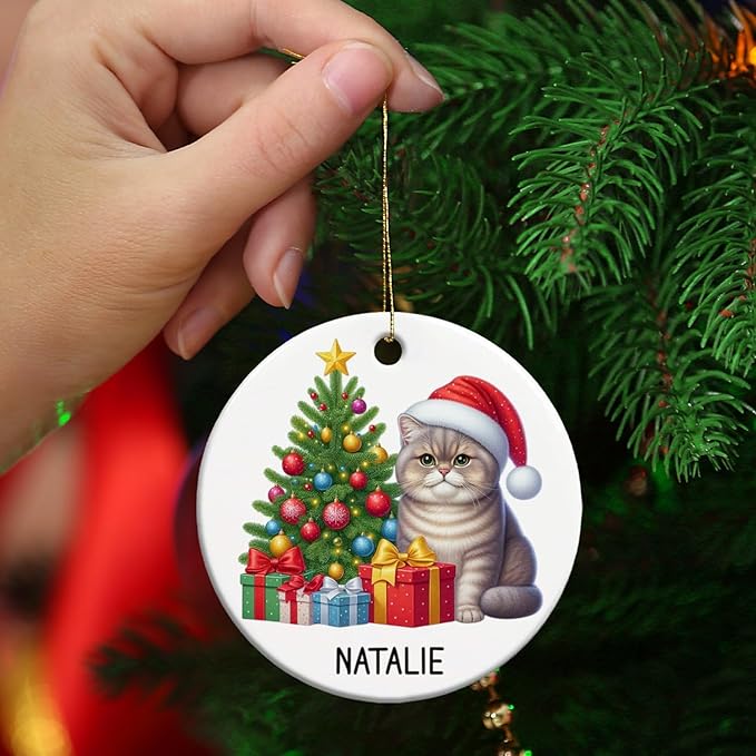 Personalized Name British Shorthair Ceramic Ornaments, Custom British Shorthair Ornament Christmas 2025, Cat Christmas Tree Ornament Gift for Cat Dad Mom Pet Owner, Pet Enthusiasts Presents