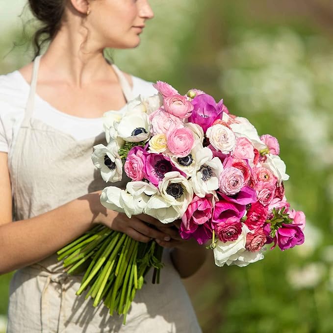 Eden Brothers Anemone & Ranunculus Bulbs - Moment in Time Mix