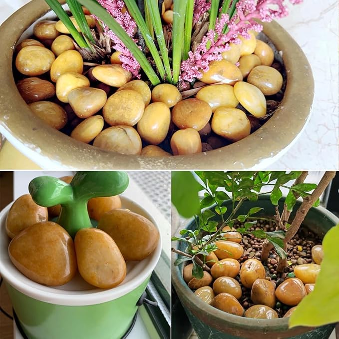 Rocks for Plant 5lbs, Yellow River Rocks 1-2 Inch Natural Pebbles for Indoor Plants, High Polished Decorative Stones Vase Filler Fish Tank Aquariums Landscaping Garden