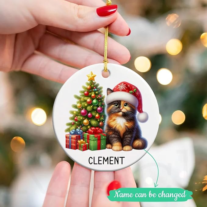 Personalized Tortoiseshell Christmas Tree Ornament 2025, Custom Tortoiseshell Ceramic Ornaments with Name, Cat Christmas Ornament Gift for Cat Lover Family Friend, Pet Xmas Hanging Decoration