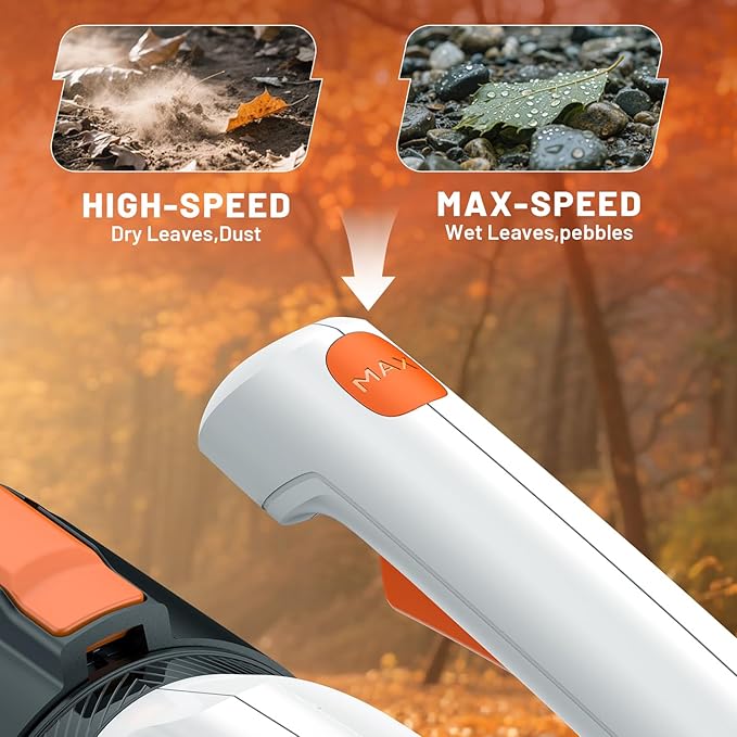 Litheli 20V Cordless Leaf Blower Battery Powered Leaf Blower, 2.0 Ah Battery Lightweight 2 Speed Axial Electric Blowers for Lawn Care, Patio, Snow, Dust, Blowing Leaves