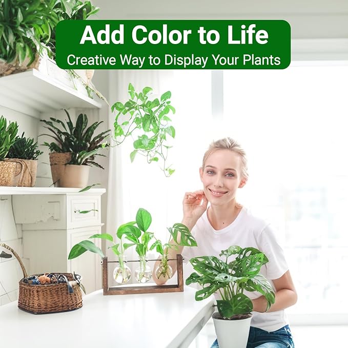 Propagation Station, Plants Terrarium, Plants Lover Gifts for Women,Plant Cutting Holder Home décor,Gifts for Women,House Warming New Home-3 Bulbs-Mounted