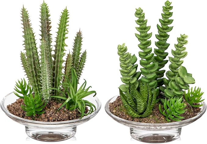 Set of 2 Succulents Plants Artificial Cactus in Glass Pot with Realistic Featuring Sand Moss, Small Fake Succulents Plants Faux Plants Indoor for Home Office Desk Bathroom Shelf Living Room Decor