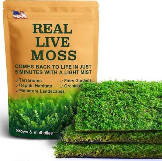 Real Live Moss for Terrariums, Fairy Gardens, Reptile Habitats & Mini Landscapes – Naturally Cultivated Live Moss, Revives in 5 Minutes with Water Mist, Grows & Multiplies (3 Sheets, 3.5”x7”)