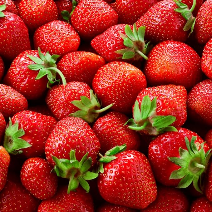 (Best) Jewel Strawberry Plants - Bare Root Plants to Grow Strawberries - Ready to Ship - No Ship to California (20 Strawberry Plants)