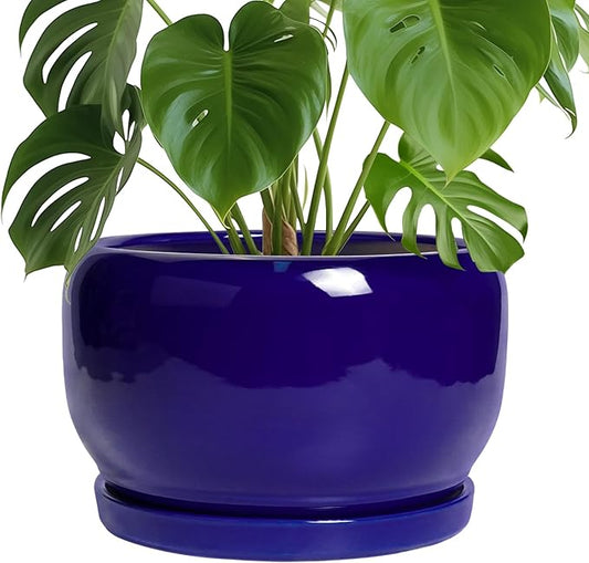 SQOWL Ceramic Plant Pot - 10 Inch Ceramic Planter for Indoor Outdoor, Round Flower Pot with Drainage Hole and Saucer, Modern Decorative Large Planter, Garden Decor, Plant Lover Gifts, Blue