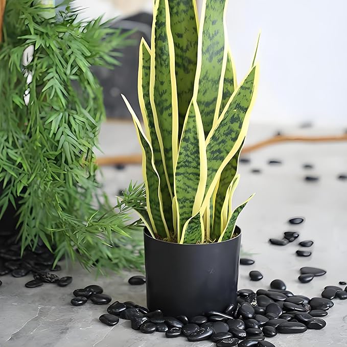 5 lbs Pebbles for Indoor Plants. 3/8 inch Small Black Stones, Decorative Black River Rocks for Plant Outdoor, Vase, Landscaping and Garden