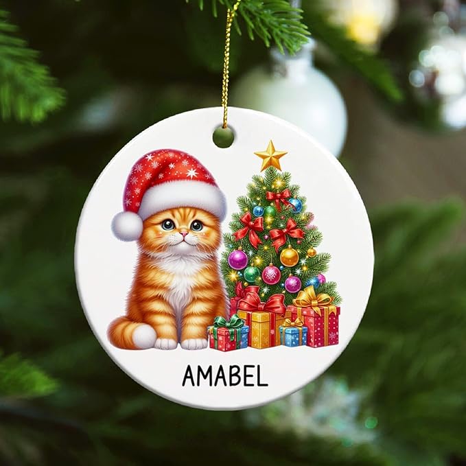 Personalized Orange Tabby Christmas Tree Ornament, Orange Tabby Ceramic Ornaments for Cat Dad Mom, Custom Name Cat Lover Christmas Ornament 2025, Gift for Brother Sister Friend Pet Lover