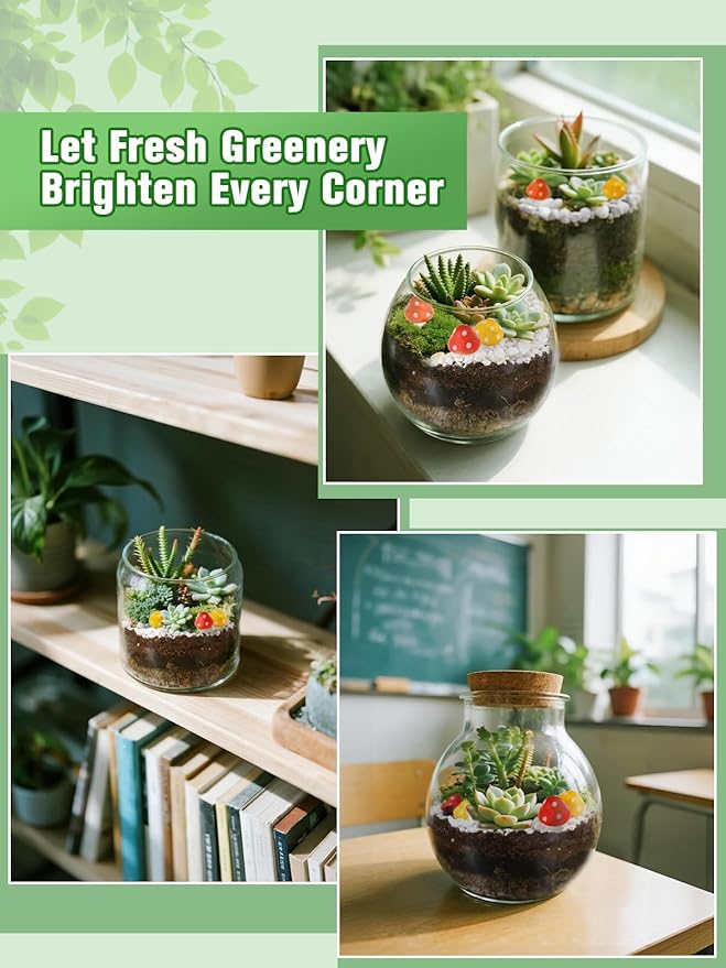 Terrarium Kit Adults - Includes Pumice, Moss, Soil, Pebbles, Charcoal, 2 Tools, Mushroom Ornaments for Succulent Cactus, Christmas Terrarium Accessories Decor Gifts for Starter Women