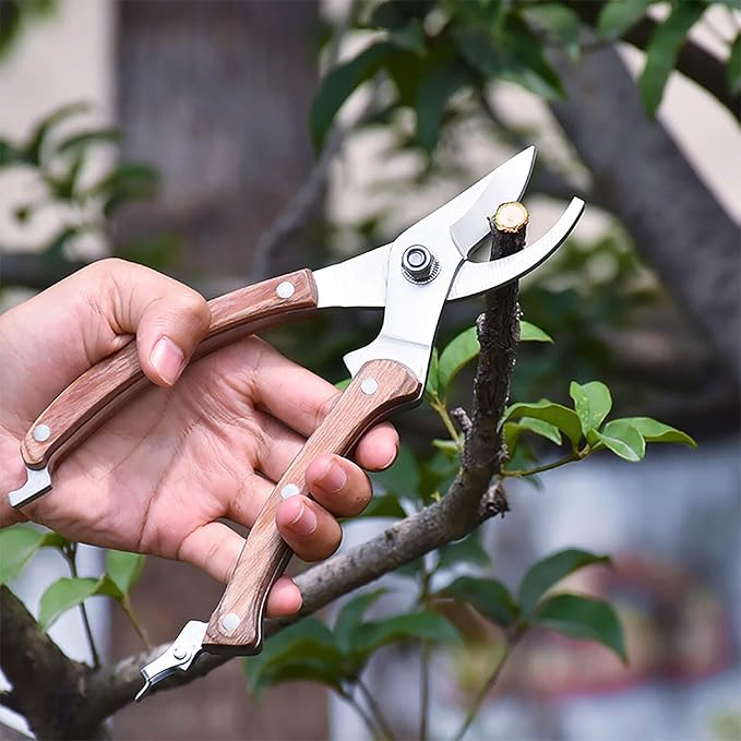 BUGUI Wood Handle Pruning Shears, SK-5 Steel Blade, 1-inch Cutting Capacity, Sharp, Well Designed Garden Shears, 8