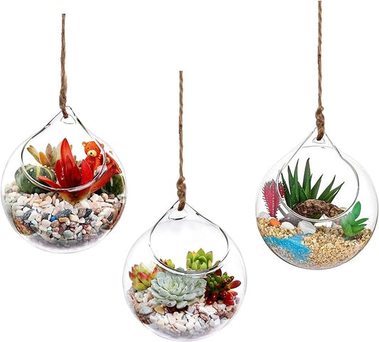 Propagation Station, Plants Terrarium, Plants Lover Gifts for Women,Plant Cutting Holder Home décor,Gifts for Women,House Warming New Home-3 Globe Shape