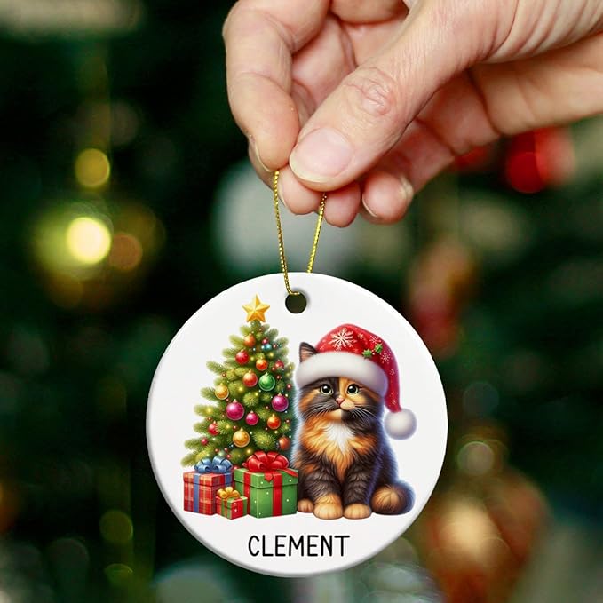 Personalized Tortoiseshell Christmas Tree Ornament 2025, Custom Tortoiseshell Ceramic Ornaments with Name, Cat Christmas Ornament Gift for Cat Lover Family Friend, Pet Xmas Hanging Decoration