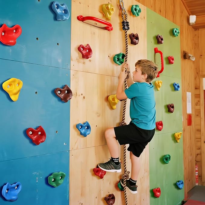 TOPNEW 20 PCS Rock Climbing Holds for Kids, Rock Wall Holds with 6.56 Ft Climbing Rope and 2 Handles, Rock Wall Climbing Kit for Indoor and Outdoor Playset - Includes Mounting Hardware
