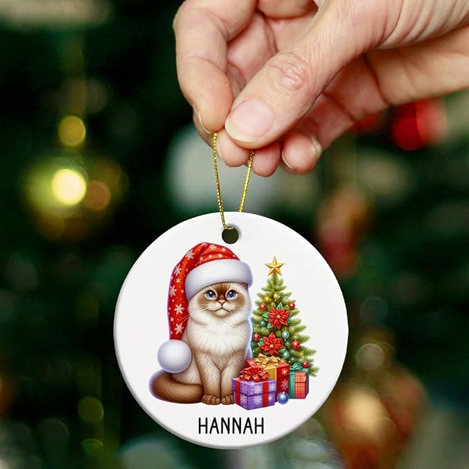 Customized Burmese Christmas Tree Ornament with Name, Personalized Burmese in Santa Hat Ceramic Ornaments, Cat Pet Christmas Ornament 2025, Cat Xmas Decor Gift for Pet Lover Kid Son Daughter