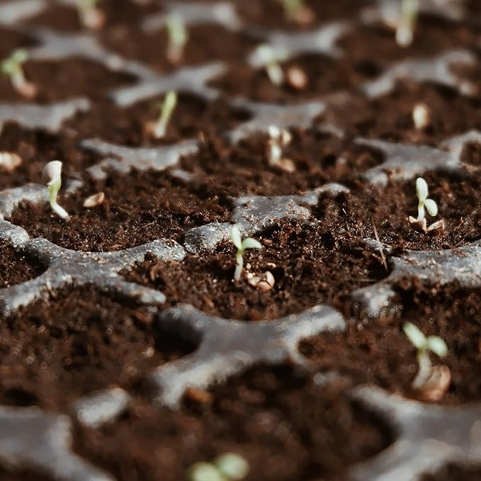 Premium Organic Coconut Coir Bricks - 6 Pack Coco Coir Bricks for Planting, Gardening, and Potting Soil Substrate. Low EC & pH Balanced 100% Organic Peat Moss Mix with Fiber from Coconut Husks
