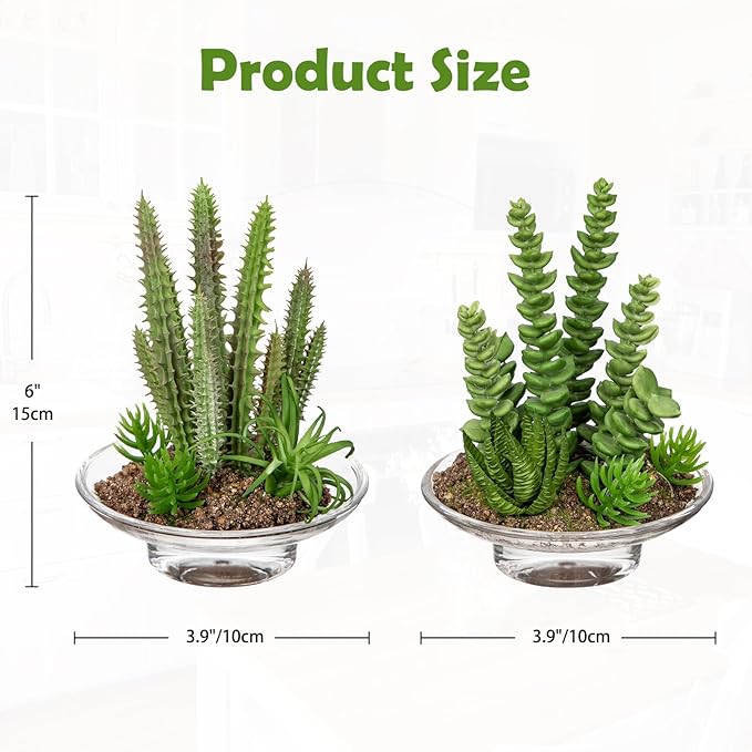 Set of 2 Succulents Plants Artificial Cactus in Glass Pot with Realistic Featuring Sand Moss, Small Fake Succulents Plants Faux Plants Indoor for Home Office Desk Bathroom Shelf Living Room Decor