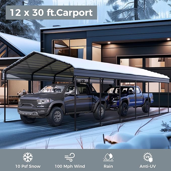 GREEN PARTY 12 x 30 ft Metal Carport Kits with Galvanized Steel Roof, Heavy Duty 2 Car Metal Carport Canopy, Outdoor Car Tent Metal Garage Shelter for Car, SUV, Truck and Boats, Grey