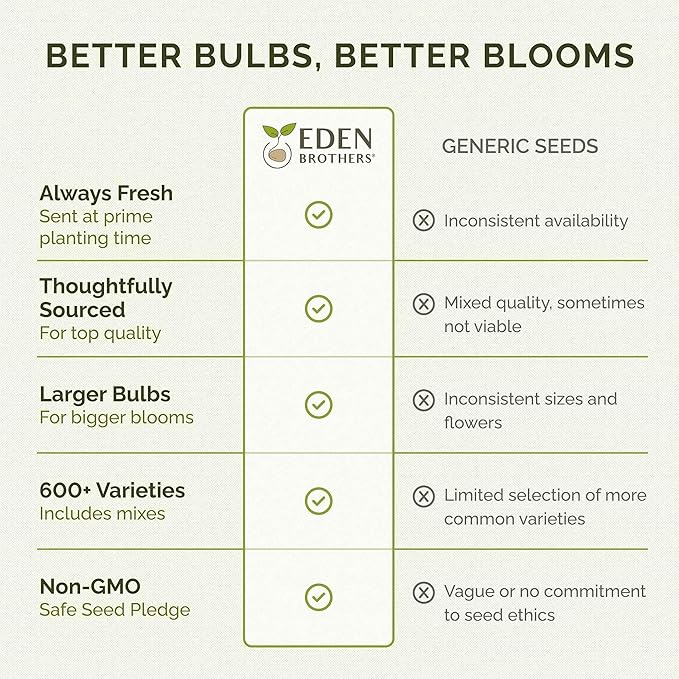 Eden Brothers Ranunculus Bulbs - White