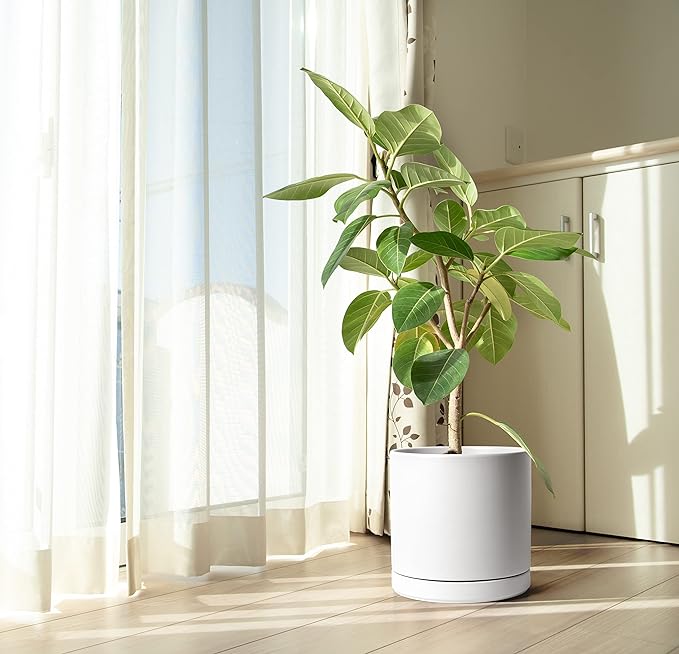 D'vine Dev 12 Inch Ceramic Planter Pot with Drainage Hole and Saucer, Indoor Cylinder Round Planter Pot, White, 94-O-F-1