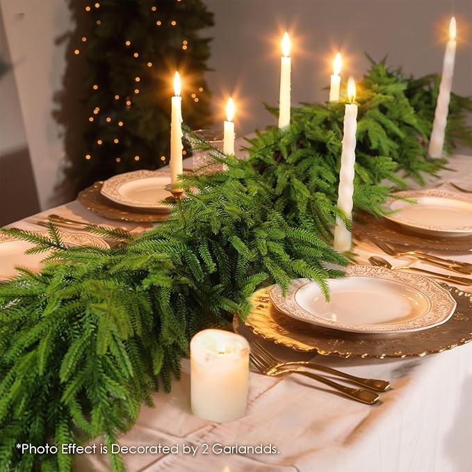 WBHome 2 PCS Real Touch Norfolk Pine Christmas Garland, Winter Greenery Garland for Christmas, Holiday Seasonal Outdoor/Indoor Home Decor