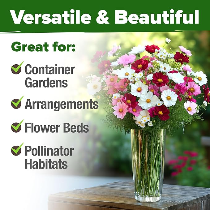 HOME GROWN Cosmos Flower Seeds Bulk Pack for 2026 (1.8 oz) 8,000+ 𝗡𝗢𝗡-𝗚𝗠𝗢 𝗨𝗦𝗔-𝗦𝗢𝗨𝗥𝗖𝗘𝗗 Heirloom Annual Wildflower Seeds – Pollinator-Friendly Mix for Pollinators & Outdoor Gardens