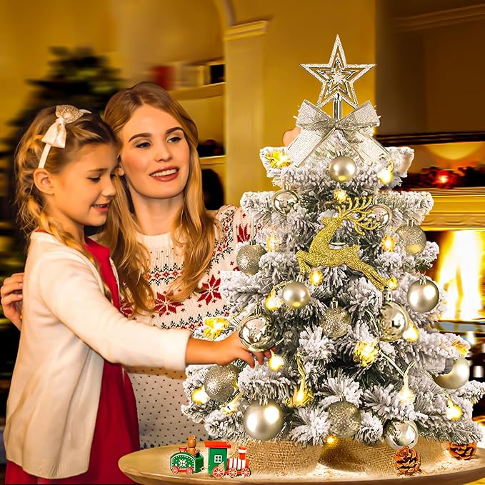 Mini Christmas Tree Prelit, Small Artificial Christmas Tree with Lights, Pre Lit Little Decoration for Table Top Home Cafe Office, Snow Flocked