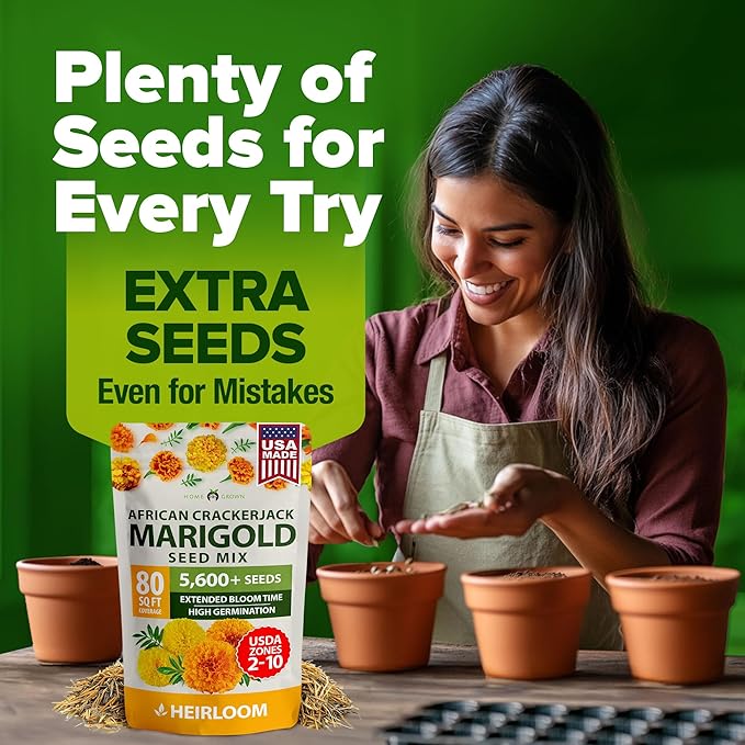 HOME GROWN Marigold Seeds Bulk Mix - 5600+𝗡𝗢𝗡-𝗚𝗠𝗢,𝗨𝗦𝗔 Crackerjack Marigold Flower Seeds for Planting Outdoors -Flowers Seed for Companion Planting -Wildflower African Marigold(Tagetes erecta)