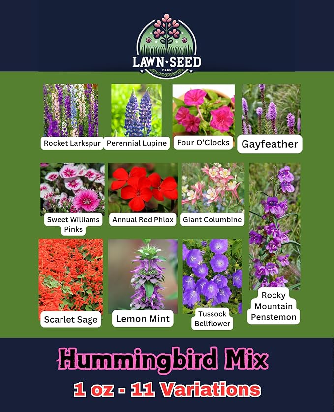 Hummingbird Wildflower Mix (1oz) Sprinkle a Little Magic—Our Shade, Perennial, Hummingbird, Deer-Resistant, and Other mixes Bring Vibrant Color and pollinator Joy to Any Space.