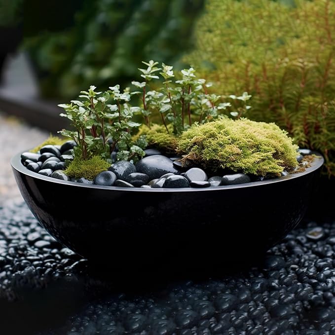 StoneCreek 24 LBS River Rocks(2 x 12 LBS Bags), Large Size, Decorative Garden Stones for Plant Landscaping, Polished Gravel Filler Pebbles for Home Decoration, Vases, Succulents(Black Pebbles)