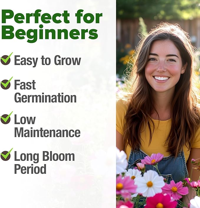 HOME GROWN Cosmos Flower Seeds Bulk Pack for 2026 (1.8 oz) 8,000+ 𝗡𝗢𝗡-𝗚𝗠𝗢 𝗨𝗦𝗔-𝗦𝗢𝗨𝗥𝗖𝗘𝗗 Heirloom Annual Wildflower Seeds – Pollinator-Friendly Mix for Pollinators & Outdoor Gardens