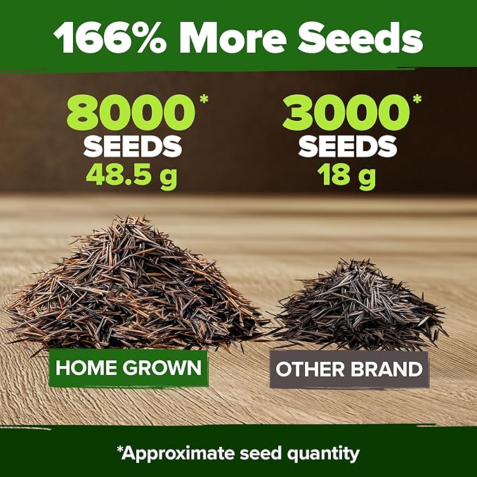 HOME GROWN Cosmos Flower Seeds Bulk Pack for 2026 (1.8 oz) 8,000+ 𝗡𝗢𝗡-𝗚𝗠𝗢 𝗨𝗦𝗔-𝗦𝗢𝗨𝗥𝗖𝗘𝗗 Heirloom Annual Wildflower Seeds – Pollinator-Friendly Mix for Pollinators & Outdoor Gardens