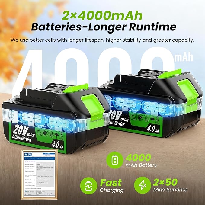 Leaf Blower Cordless 650CFM/170MPH with 2¡¿4000mAh Batteries and Charger, PATOOLIO 5 Speed Mode Cordless Blower Handheld for Patio, Lawn Care, Snow Blowing, Leaves Blowing