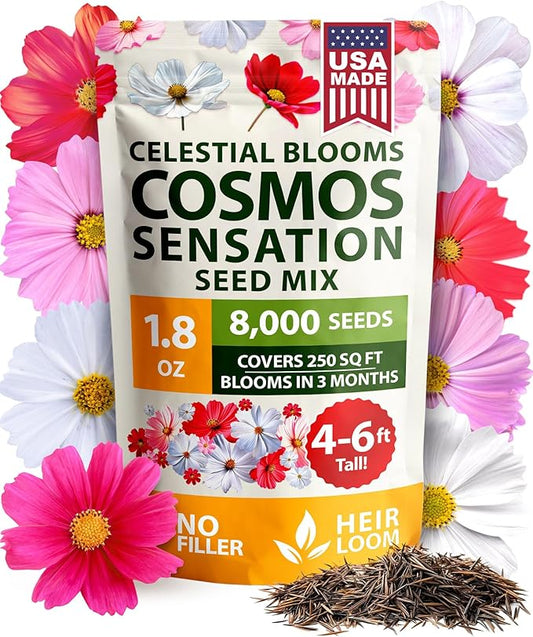 HOME GROWN Cosmos Flower Seeds Bulk Pack for 2026 (1.8 oz) 8,000+ 𝗡𝗢𝗡-𝗚𝗠𝗢 𝗨𝗦𝗔-𝗦𝗢𝗨𝗥𝗖𝗘𝗗 Heirloom Annual Wildflower Seeds – Pollinator-Friendly Mix for Pollinators & Outdoor Gardens