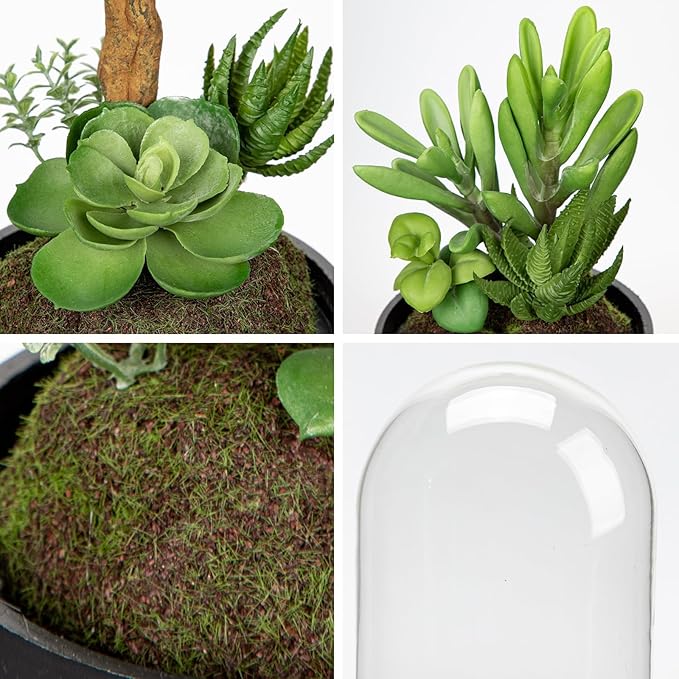 Set of 2 Artificial Succulents Plants in Glass Dome with Featuring Sand Moss, Small Fake Aloe Succulents Plants Faux Plants Indoor Decor for Home Office Table Desk Shelf Room Hostess Gift