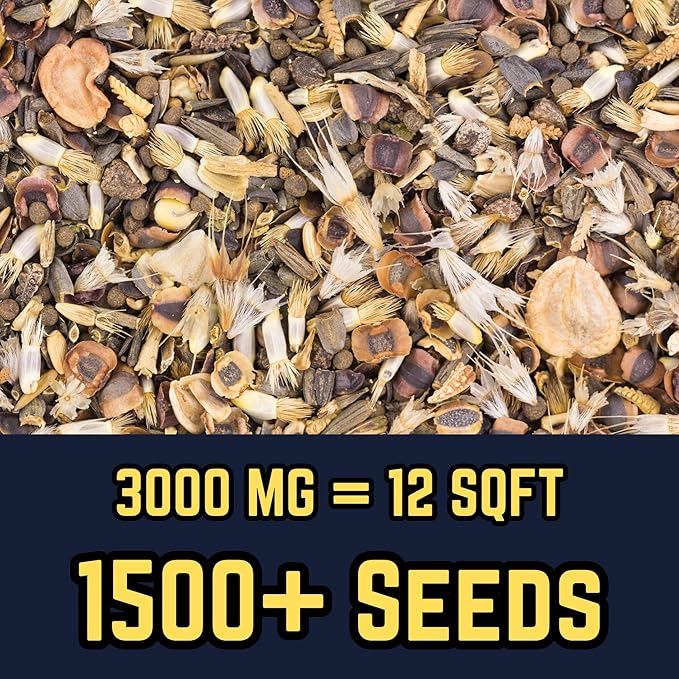Bee Wildflower Mix (Seed Packet) Sprinkle a Little Magic—Our Shade, Perennial, Hummingbird, Deer-Resistant, and Other mixes Bring Vibrant Color and pollinator Joy to Any Space.