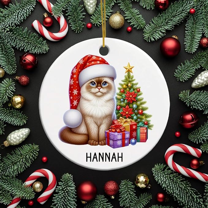 Customized Burmese Christmas Tree Ornament with Name, Personalized Burmese in Santa Hat Ceramic Ornaments, Cat Pet Christmas Ornament 2025, Cat Xmas Decor Gift for Pet Lover Kid Son Daughter
