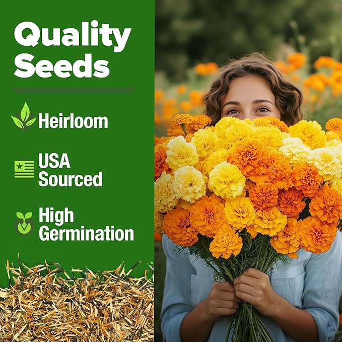 HOME GROWN Marigold Seeds Bulk Mix - 5600+𝗡𝗢𝗡-𝗚𝗠𝗢,𝗨𝗦𝗔 Crackerjack Marigold Flower Seeds for Planting Outdoors -Flowers Seed for Companion Planting -Wildflower African Marigold(Tagetes erecta)