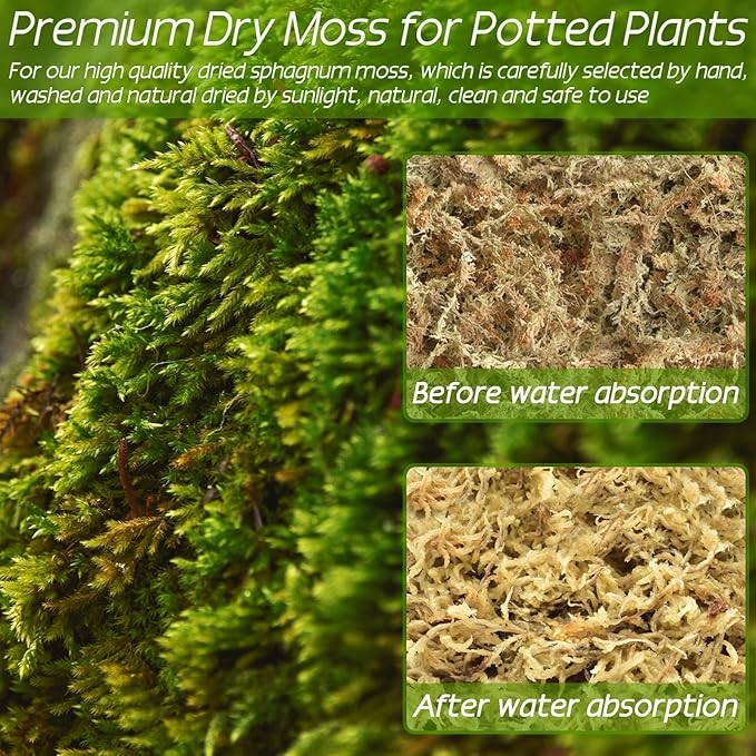 ZeeDix 2.2 lb Premium Sphagnum Moss Bulk, Natural Long Fiber Orchid Sphagnum Peat Moss for Carnivorous Plants Succulent Monstera Indoor Outdoor Plants & Reptiles Terrariums Habitats(Expands to 40 qt)