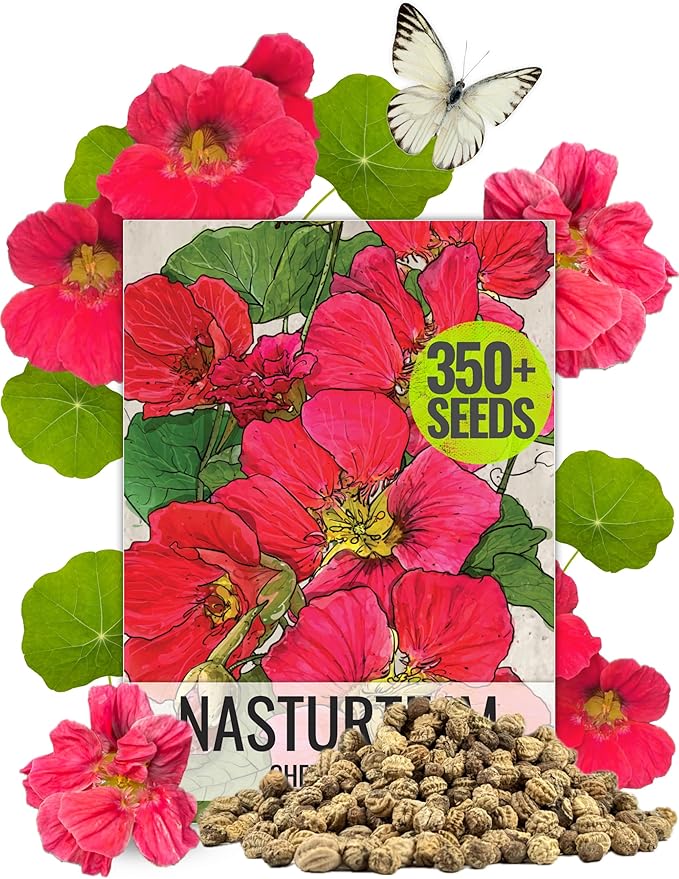 Seed Needs Nasturtium Seeds Cherry Rose Variety | 350+ Seeds Tropaeolum Minus Annual Flower Seed | Edible Flowers Red Cherry Color Prolific Blooms | Nasturtiums Flowering Seed Garden Favorite | Bulk