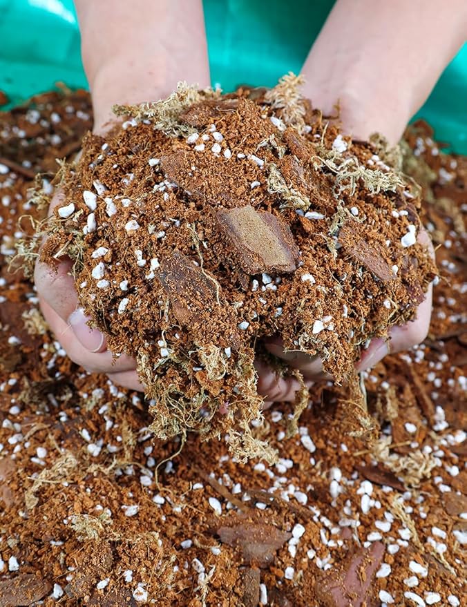 TOYPOPOR Orchid Potting Mix (10qts) for Repotting with Moss Pine Bark Mulch Perlite Stone and Coco Peat Natural Ingredients, Orchid Bark Potting Mix Orchid Repotting Kit Drainage Indoor Potting Medium
