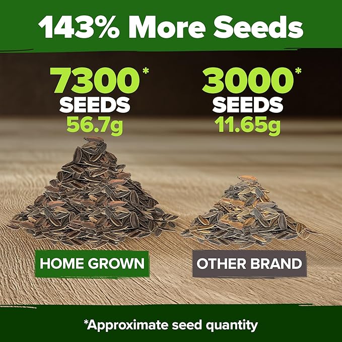 HOME GROWN Zinnia Seeds for 2026 - California Giant Mix - 7,300+ (2 oz) 𝗡𝗢𝗡-𝗚𝗠𝗢 𝗨𝗦𝗔 Plant Wildflower Blooms – Bulk Seeds for Planting Flowers Outside - Pollinator Gardens (Zinnia elegans)