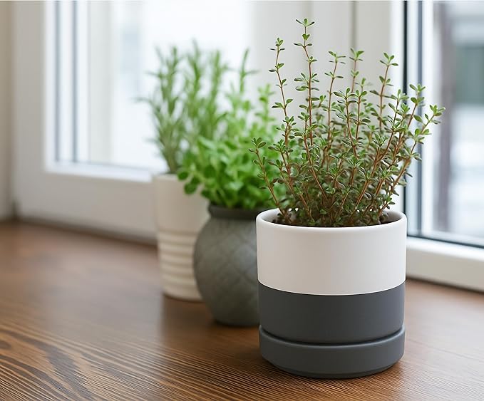 D'vine Dev Set of 2 Plants Pots, 4.7 Inch Ceramic Planter Pot for Plants with Drainage Hole and Saucer, White/Speckled Grey, 94-V-B-6